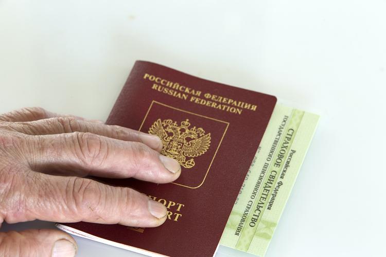 Эксперты поддержали переход России на электронные паспорта