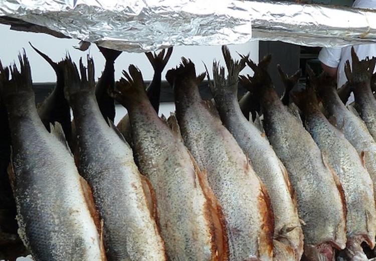 Рыболовы из Дании обеспокоены одним из маршрутов газопровода "Северный поток – 2"