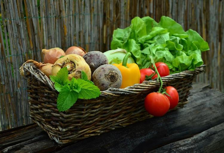 Цены на свежие овощи и ягоды снизились в Московской области