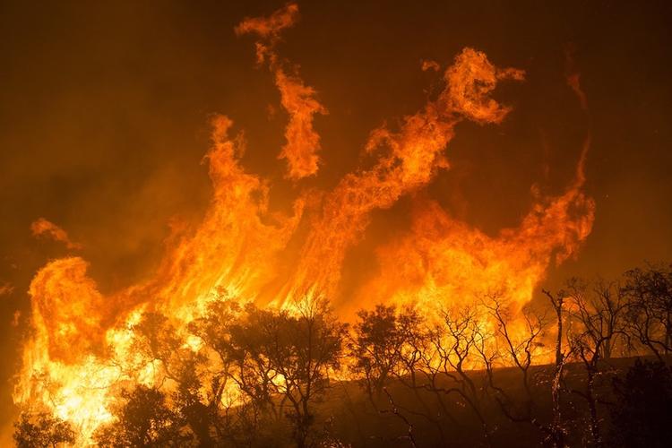 Лесные пожары начались во Франции