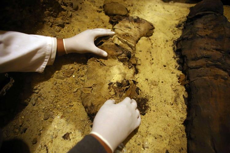 Под Нижним Новгородом в стене церковной лавки обнаружили замурованную мумию