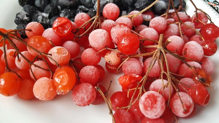 Диетолог рассказала, какие способы есть для сохранения ягод без сахара