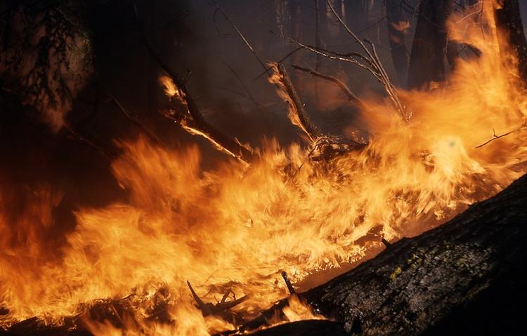 Пропавший под Красноярском пожарный найден живым