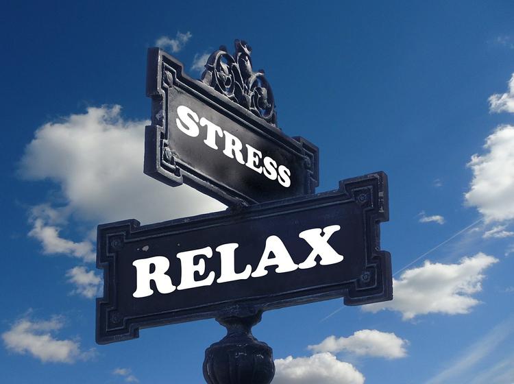 Когда стресс может быть полезен?