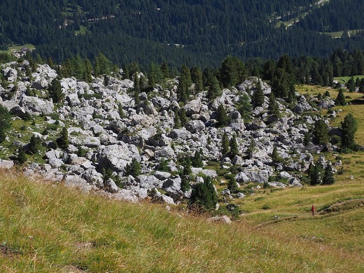 Камнепад убил семью из трех человек в Дагестане
