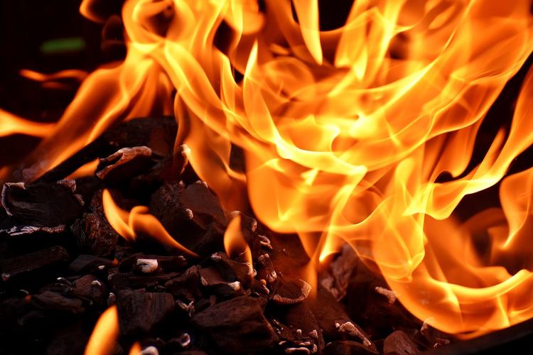 Поджогами не могли скрывать незаконные вырубки, считают в Рослесхозе