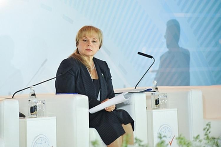 Памфилова потребовала разобраться с  противозаконными действиями депутата Романова на выборах в Петербурге