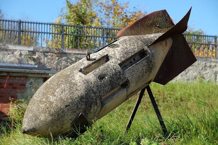 На дереве в Крыму нашли немецкую бомбу времен Великой Отечественной войны
