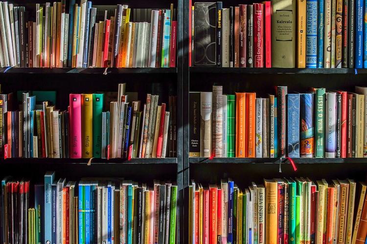 C начала года Украина запретила ввоз более 1,8 тысячи книг из РФ