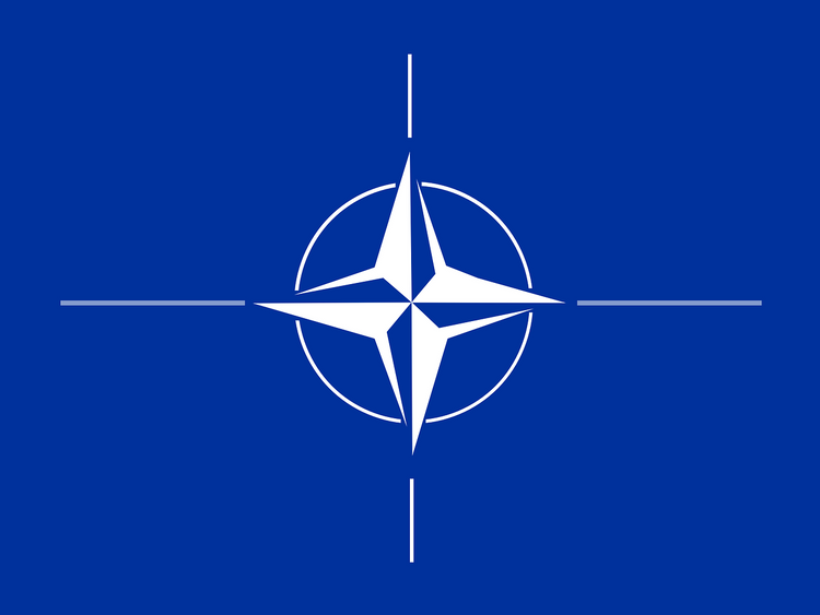В "Слуге народа" признали, что в НАТО Украину не ждут