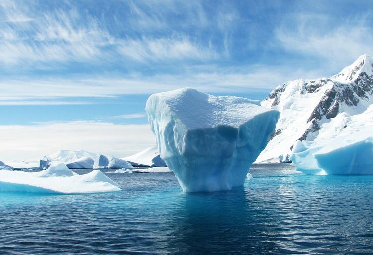 BBC: от Антарктиды откололся крупнейший айсберг впервые за 50 лет