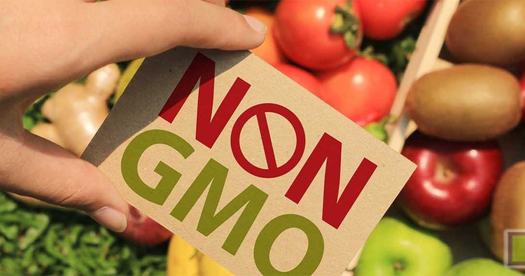 Все истории о «вредных ГМО»