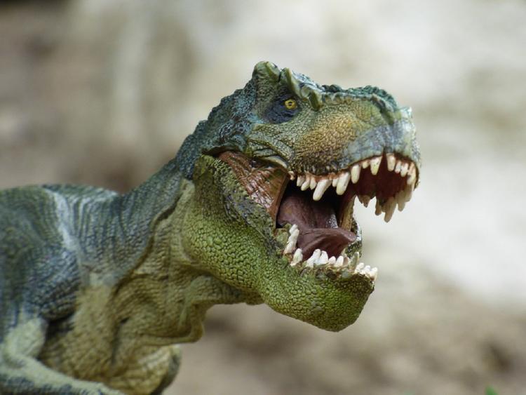 Ученые назвали возможную причину гибели динозавров