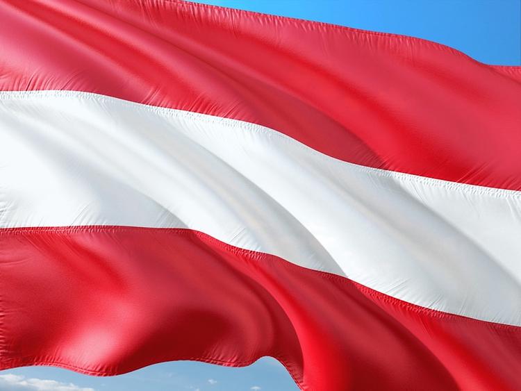 Австрия выделит на защиту мирного населения Сирии 750 тысяч евро