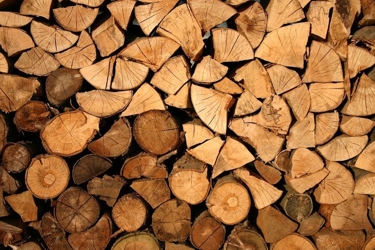 В Бельгии прокомментировали информацию СМИ о продаже "чернобыльских дров"
