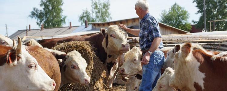 Большая помощь малым хозяйствам