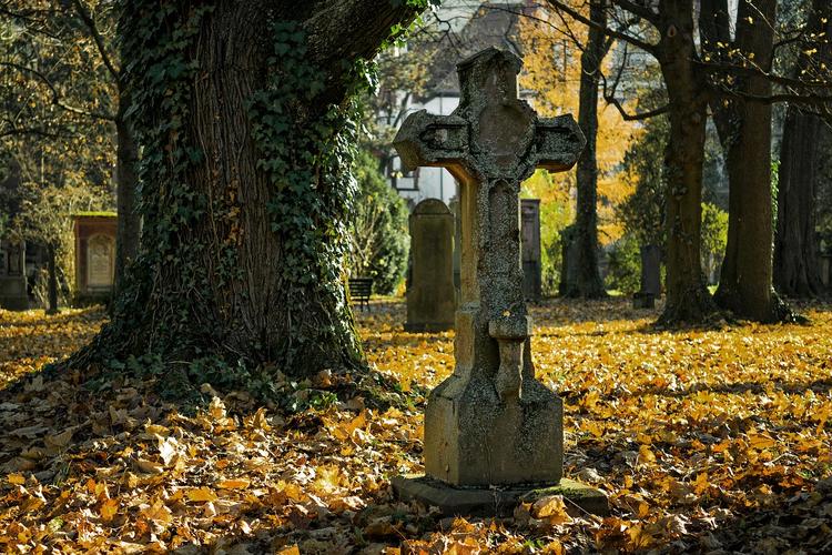 Дочь покойницы умерла на кладбище