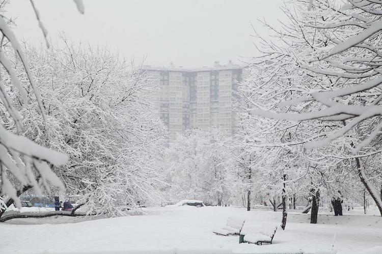 Синоптики пророчат Москве самую теплую зиму за всю историю метеонаблюдений