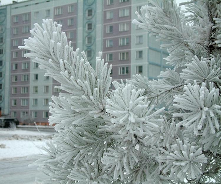 Синоптики объяснили аномальное похолодание на Урале и в Сибири