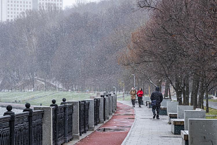 В Москву через несколько дней придет климатическая зима, но пока без снега