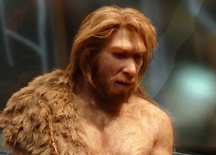 Ученые заявили, что установили причину вымирания неандертальцев