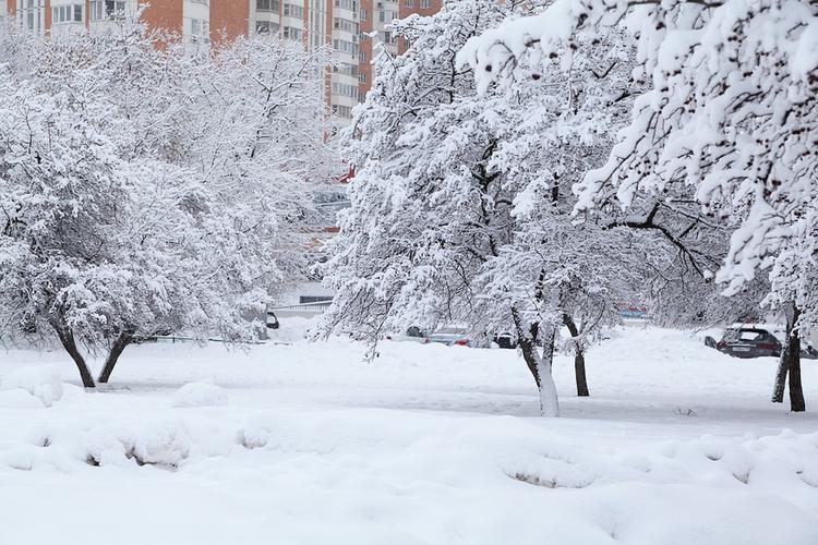 Москвичам рассказали, какую погоду ожидать в декабре