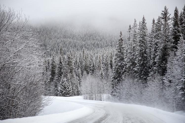 Дорогу из Грузии в Россию закрыли из-за снега