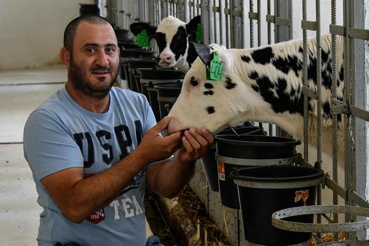 Жизнь после гранта