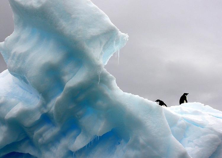 У полярников в Антарктиде после 14 месяцев уменьшился мозг