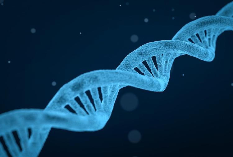В Гарварде создают приложение для знакомств по ДНК