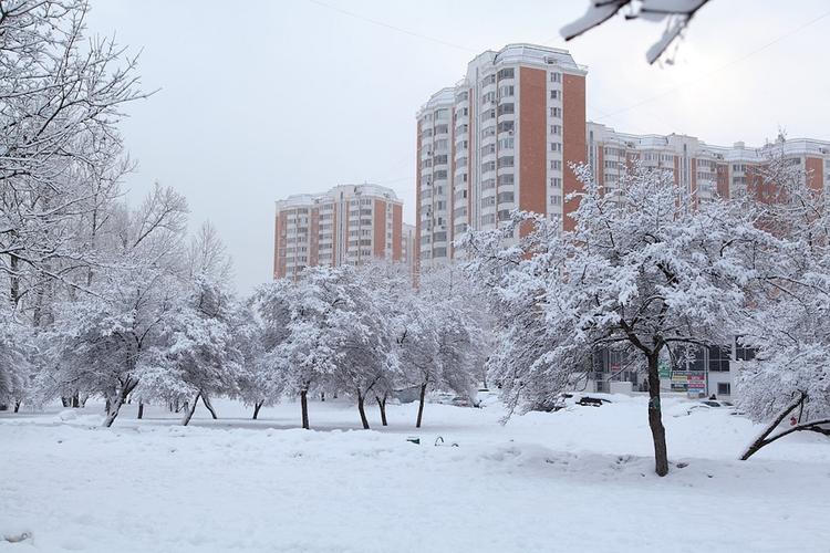Синоптики рассказали, когда можно ждать снега в Москве