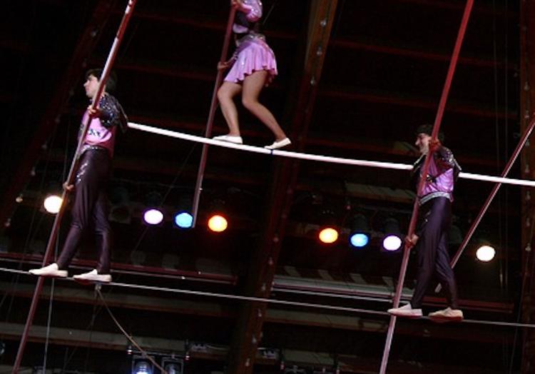 В ходе циркового шоу во Владивостоке гимнастка сорвалась с большой высоты
