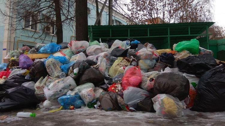 Во Владимире мусорный коллапс после новогодних праздников. Власти же не знали, что в России будет Новый год