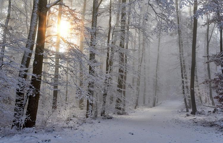 Синоптики: в конце новогодних праздников ожидается похолодание и снег 