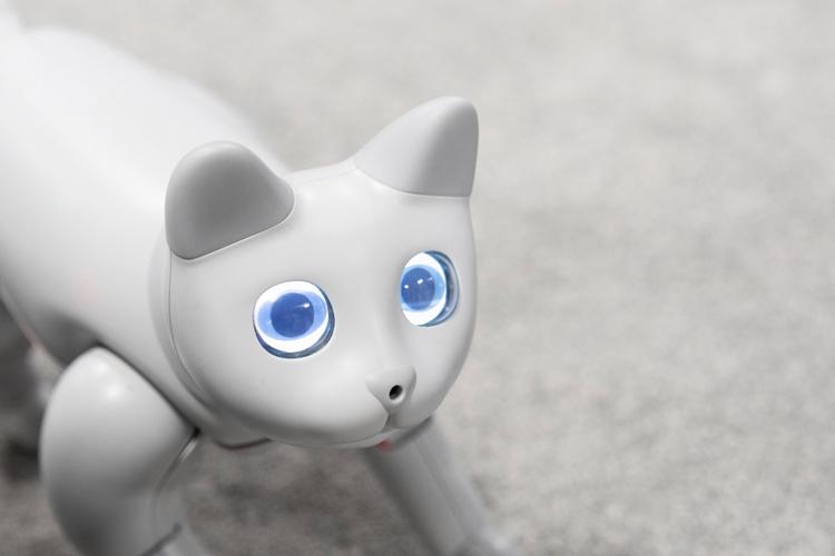 Китайская компания показала на выставке кота-робота, поддающегося дрессировке