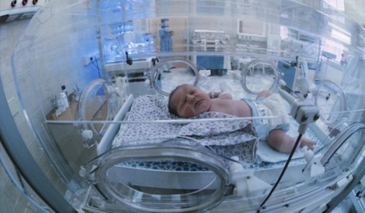 В больнице №24 родители смогут наблюдать за новорожденными онлайн