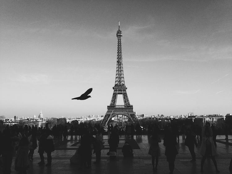 Из-за общенациональной забастовки в Париже закрыли Эйфелеву башню