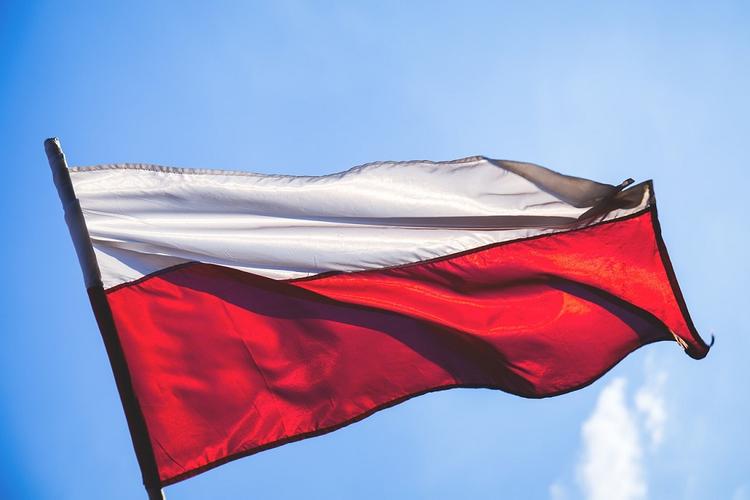 В Польше потребовали компенсацию от России и Германии за ущерб в годы войны: 