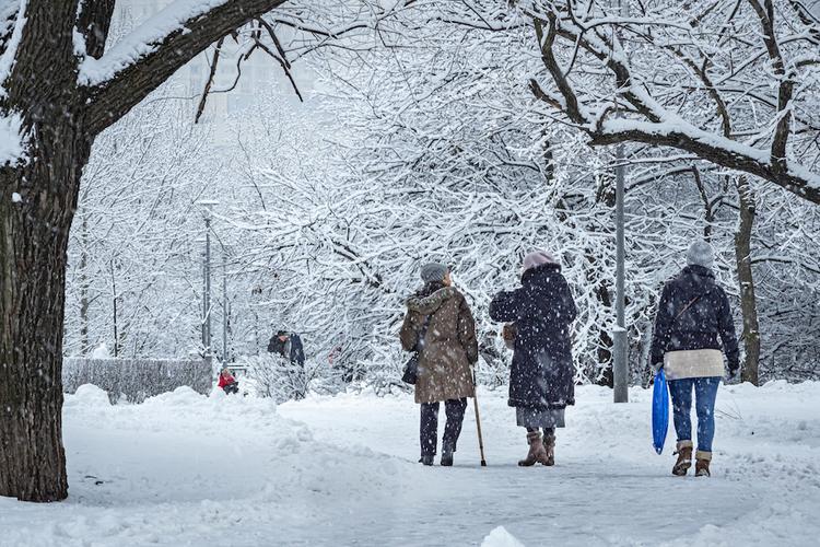 На Москву в конце следующей недели обрушатся снегопады и метели