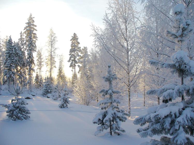 В Новосибирске из-за снегопадов объявили режим ЧС