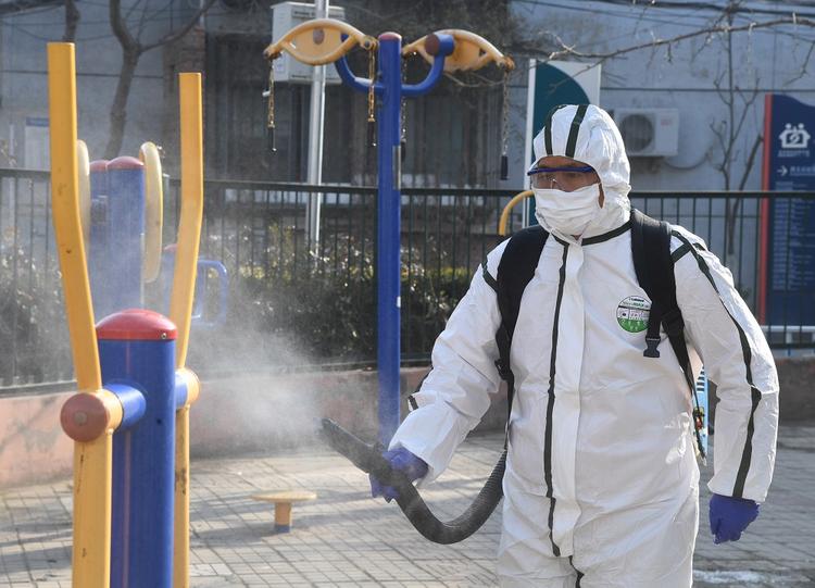 Возможный срок появления китайского коронавируса в России раскрыли в Минздраве  