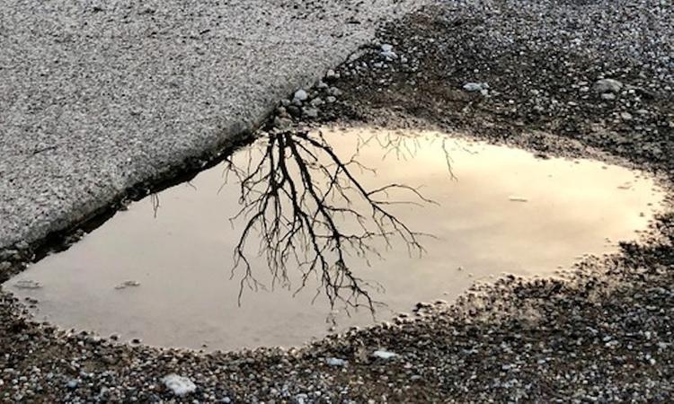 Водохранилище в Симферополе  высохло:  наполненность водой 37%