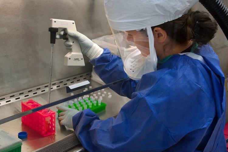 Новый коронавирус, помимо Китая, обнаружили еще в 14 странах мира