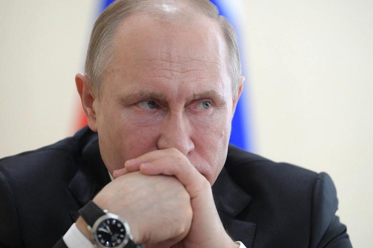 Путин поручил рассмотреть возможность усиления ответственности за оскорбление в интернете