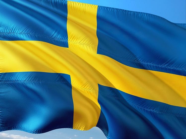 Первый случай заражения коронавирусом зафиксирован в Швеции