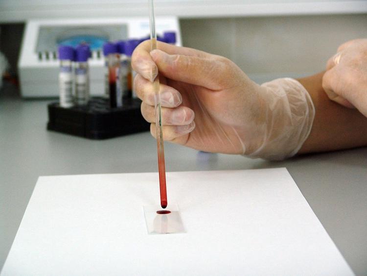 В Болгарии объявили предпоследний уровень опасности распространения коронавируса
