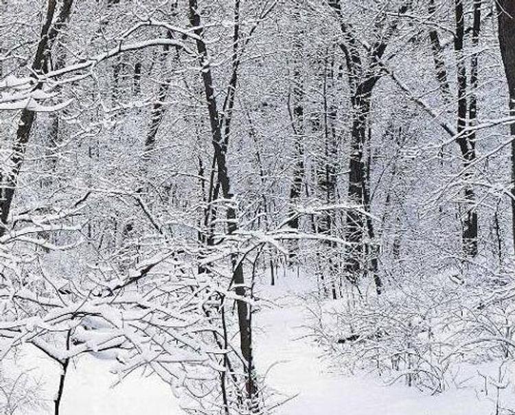 В Уфе из-за обильного снегопада введен режим чрезвычайной ситуации