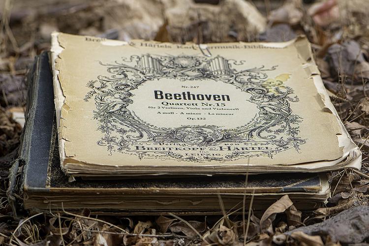 Действительно ли Бетховен был глухим?