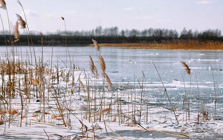 Горячий ТОП региональных новостей: В Кировской области под лёд провалилась девушка 