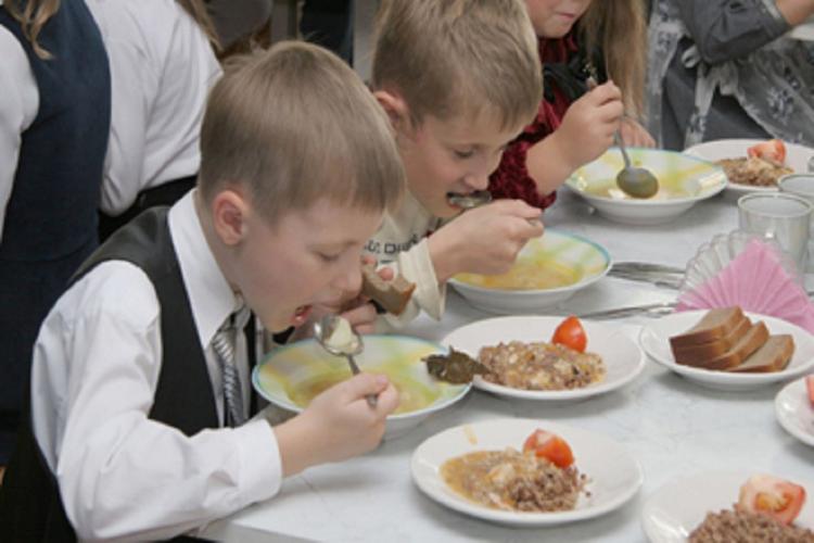 В российских школах законодательно введут бесплатное и здоровое питание